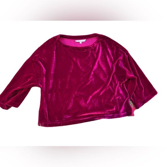 Cupcake and cashmere  velvet top - Picture 2 of 4